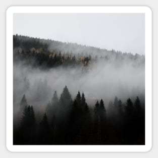 Misty European Forest After Rain Sticker